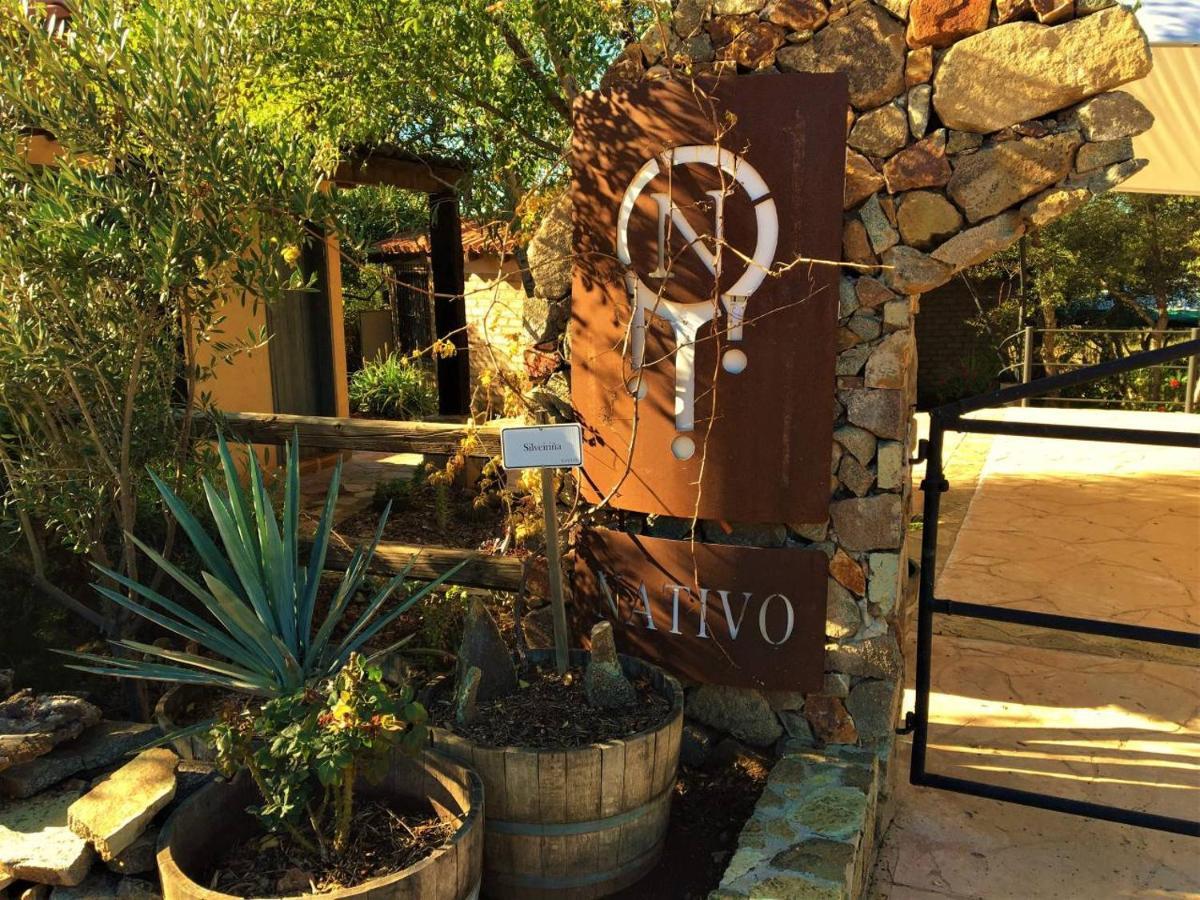 Suites Nativo - Beautiful Vineyard & Valley View Valle de Guadalupe Exteriér fotografie